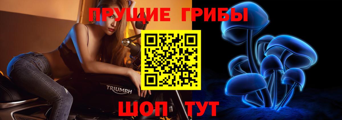 Галлюциногенные грибы прущие грибы Октябрьский